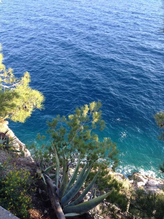 Apartment Dalmatien Traumhaus Makarska Eksteriør billede