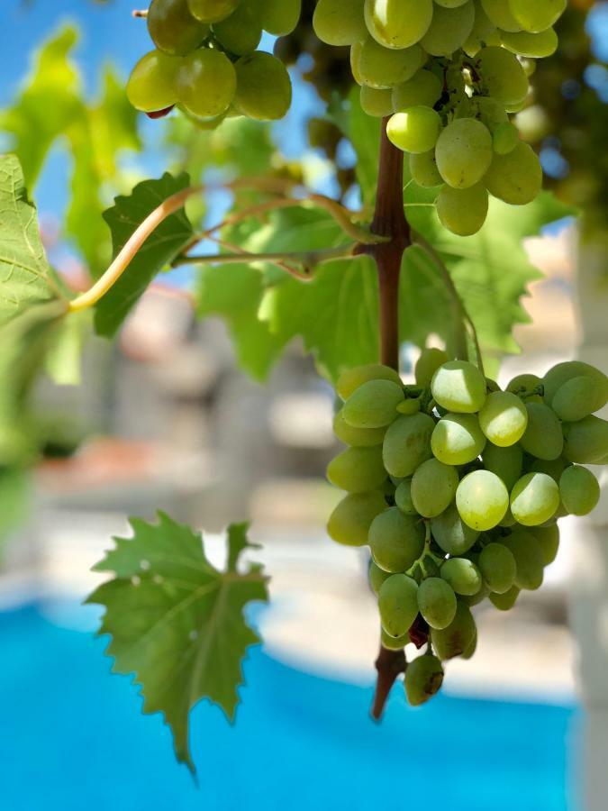 Apartment Dalmatien Traumhaus Makarska Eksteriør billede